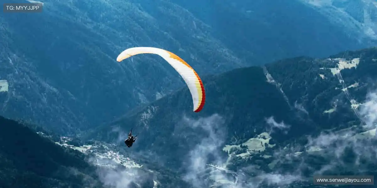 限量款来袭，手慢无！🚨🎯